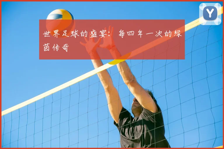 世界足球的盛宴：每四年一次的绿茵传奇